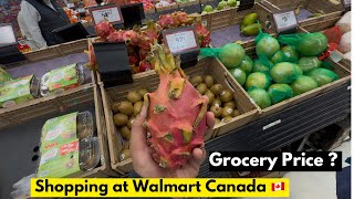 Day 60 in Canada Walmart Grocery Haul amp DollarMax Household Finds  Budget Shopping Tips 🇨🇦 [upl. by Nyladnek]