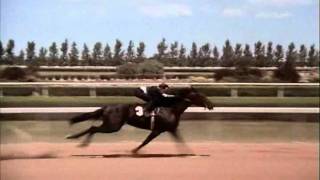 The Black Stallion Race Rescored Whit Return To Snowy River Music [upl. by Mata389]