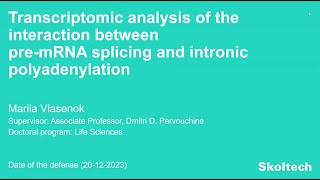 PhD Thesis Defense Mariia Vlasenok [upl. by Enelra]