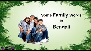 Learn Bengali Family Relationships Words in English For Beginners [upl. by Otir32]