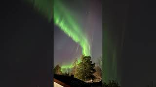 Rovaniemi polar lights [upl. by Leidag]