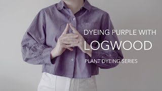 Dyeing purple with logwood  fabric scouring  homemade alum acetate [upl. by Iem785]