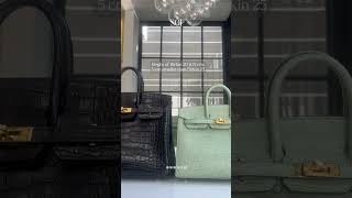 Birkin 20 vs Birkin 25 Which Size Fits Your Lifestyle [upl. by Ycnahc]