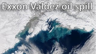 The Exxon Valdez oil spill [upl. by Octavia]