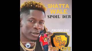 Shatta Wale  Spoil Der  Promo Use [upl. by Batruk]