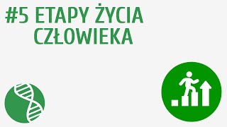 Etapy życia człowieka 5  Rozmnażanie i rozwój [upl. by Manno655]