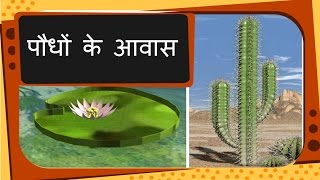 Science  Plant Habitat and adaptation  Hindi [upl. by Humbert]