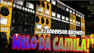 MELO DA GATA CAMILA EXCL MÚSICAL THER PIONNERDJ ANDERSON BROWN [upl. by Thgiwd]