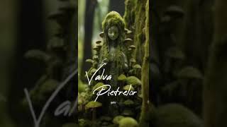 Valva Pietrelor [upl. by Acirre]