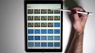 Import Raw Photos In Lightroom CC on an iPad [upl. by Omolhs]