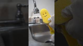 SCRUB DADDY MADE THE BEST DISHWAND EVER  scrubdaddy scrubdaddypartner dishdaddy [upl. by Izogn]