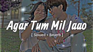 Agar Tum Mil Jaao  Slowed  Reverb   Shreya Goshal  Hindi Lofi [upl. by Danieu739]