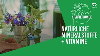 Wichtige Mineralstoffe amp Vitamine zur Immunstärkung  Kleine Kräuterkunde [upl. by Anirdua]