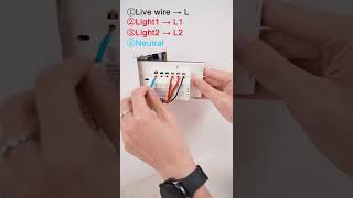 Install a zigbee 2 gang dimmer switch to control 2 different lamps for dimmable lightingmoes [upl. by Elleinnad]