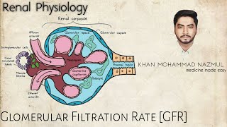 Glomerular Filtration Rate GFR  renal physiology  বাংলা [upl. by Saffier]