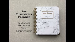 Daily Purposeful Planner Detailed Review amp Pen Test [upl. by Ifar]