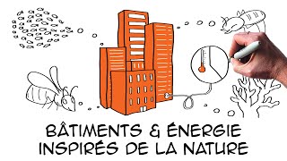 Biomimétisme 5 exemples pour combattre le réchauffement climatique  Architecture Energie Ecologie [upl. by Kelleher804]