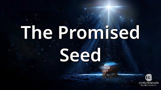 The Promised Seed  Sunday 17th December 2023 [upl. by Eirolam]