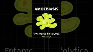 n Virus meaning microscopic agent with 5 examples [upl. by Ahsimac230]