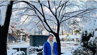 This is how i enjoy my First Snowfall ☃️❄️🇰🇷  International Student Seoul South Korea 🇰🇷🇰🇷 [upl. by Reagen]