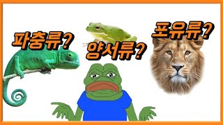 포유류파충류양서류 쉽게 구별하는법 [upl. by Warwick355]