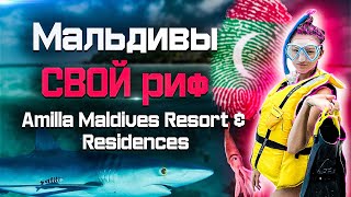 Мальдивы Amilla Maldives Resort amp Residences топовый атолл со своим рифом🔥 Amilla Fushi Resort [upl. by Naicul]