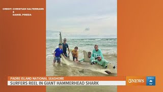 Anglers catch 14foot hammerhead shark [upl. by Monjan]