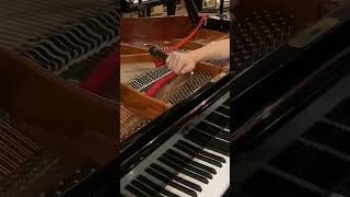 Tuning a Bösendorfer Grand Piano at Classic Pianos Portland [upl. by Onabru707]