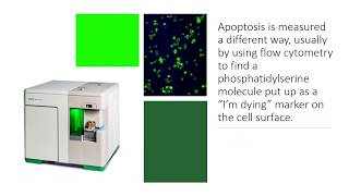 What is cell viability [upl. by Caswell769]