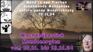 Wochenüberblick der Mondenergien vom 1011 bis 161124 [upl. by Rett59]