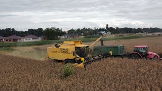 Žatva Repky v Dechticiach s New Holland CX8070 TX66 Massey Ferguson 7278 [upl. by Waring772]