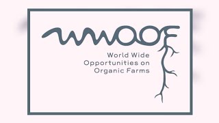 My first WWOOF  Farming amp Volunteering in Central America  Bamboo Farm  Auroras Eye Films [upl. by Anenahs]