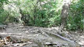 Palos Mountain Biking  Willow Springs IL [upl. by Ahmed519]