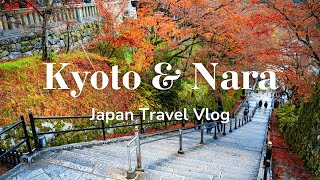 Trip to Kyoto amp Nara  First Time in Japan 🇯🇵  Travel Vlog [upl. by Ahpla]