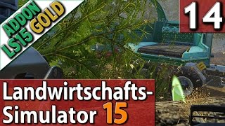 LS15 ADDON Landwirtschafts Simulator 15 GOLD 14 der dicke DEUTZ HÄCKSELT PlayTest SPECIAL deutsch [upl. by Nyrahs]