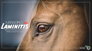 Managing Laminitis [upl. by Afrika397]