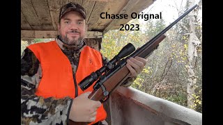 Chasse Orignal 2023  Dans LBois Entre Frères 4K [upl. by Sutherlan]