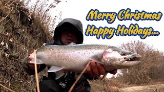 WINTER STEELHEAD FISHING  DEC 23 2023  LAKE ONTARIO TRIBUTARY steelhead steelheadfishing [upl. by Thrasher]