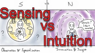 Sensing vs Intuition Illustrated  Differences in Perception [upl. by Brinna]