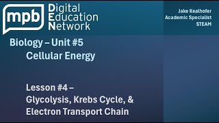 MPB Biology Unit 5 Lesson 4 Glycolysis Krebs Cycle amp Electron Transport Chain [upl. by Oilut]