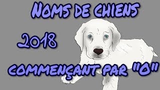 🐕🐶 Idées noms de chiens 2018 commençant par quotOquot 🐕🐶 [upl. by Arty401]