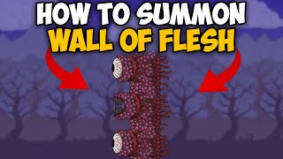 How To Summon The Wall of Flesh and Defeat It  Terraria Wall of Flesh [upl. by Enyaw748]