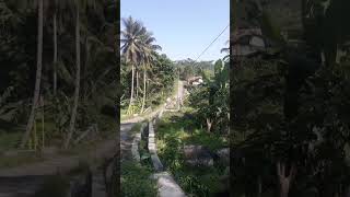 Suasana jalan menuju perkampungan yg asri [upl. by Cohbert]