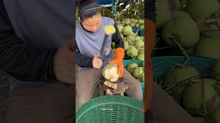 Hardworking Woman Thai Girl Coconut Cutting Skills  Fruit Cutting Skills [upl. by Erminia]