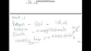 Histidine and Glutamic amino acid [upl. by Couchman]