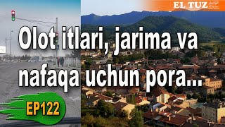 Olot itlari jarima va nafaqa uchun pora  EP122 [upl. by Nelyag]