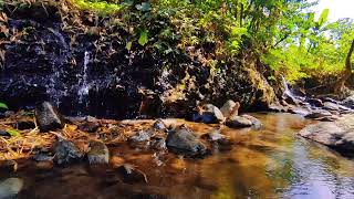 quotWhispers of the Stream Water Flowing betwen rocky cliffs [upl. by Prendergast]