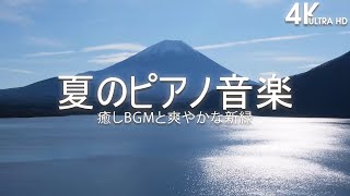 【4K】癒しBGMと爽やかな新緑【癒しbgm】／アロマ リラクゼーション音楽 ～スパ、瞑想・ヨガ、睡眠～南国風・トロピカル、波の音と鳥の声 疲れが取れる癒しのヒーリングBGM 🌻 夏のピアノ音楽 [upl. by Roybn881]