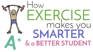 How Exercise Makes you Smarter and a Better Student [upl. by Effie]