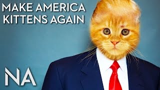 Replace Trump with Kittens in this Chrome Extension [upl. by Eckhardt]